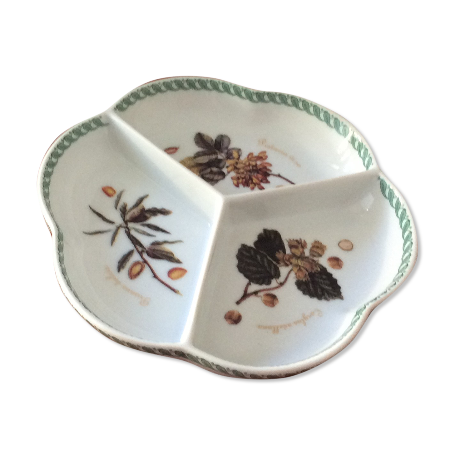 Tognana porcelain compartmentalized cup "Le Terrine Botaniche"