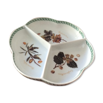 Tognana porcelain compartmentalized cup "Le Terrine Botaniche"