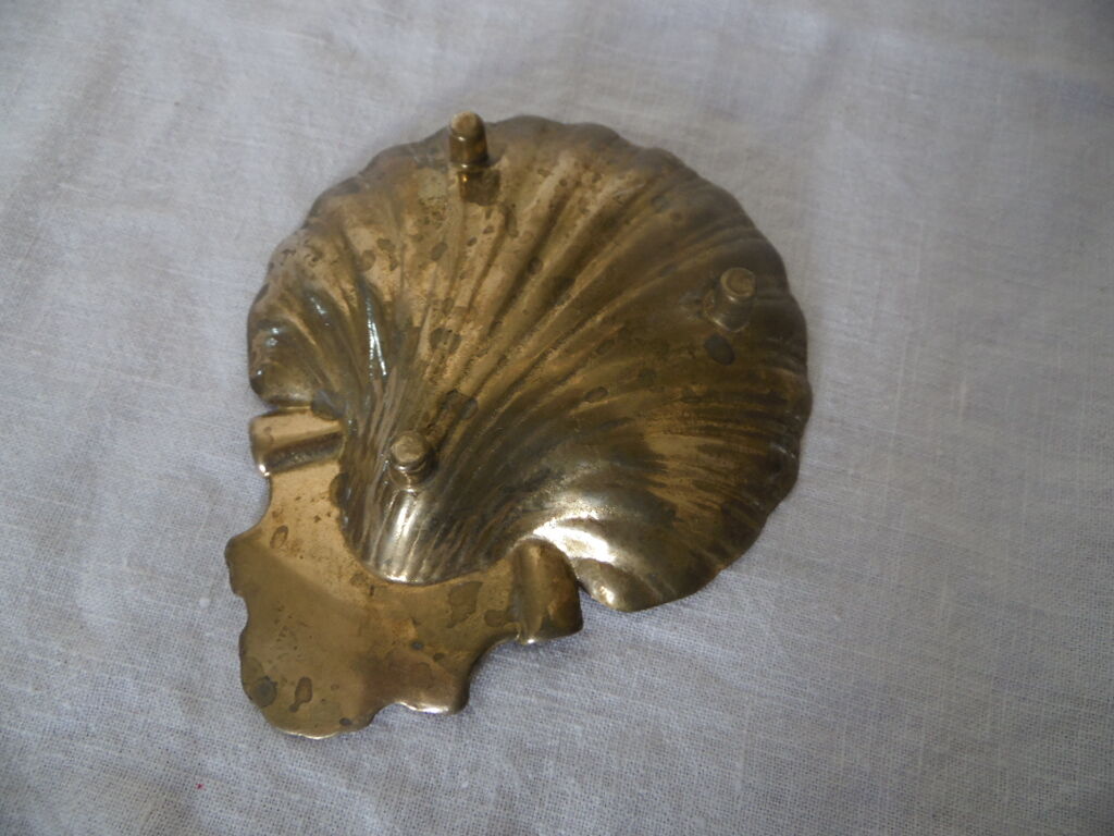 Empty pocket st Jacques shell