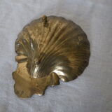 Empty pocket st Jacques shell