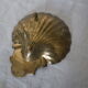 Empty pocket st Jacques shell