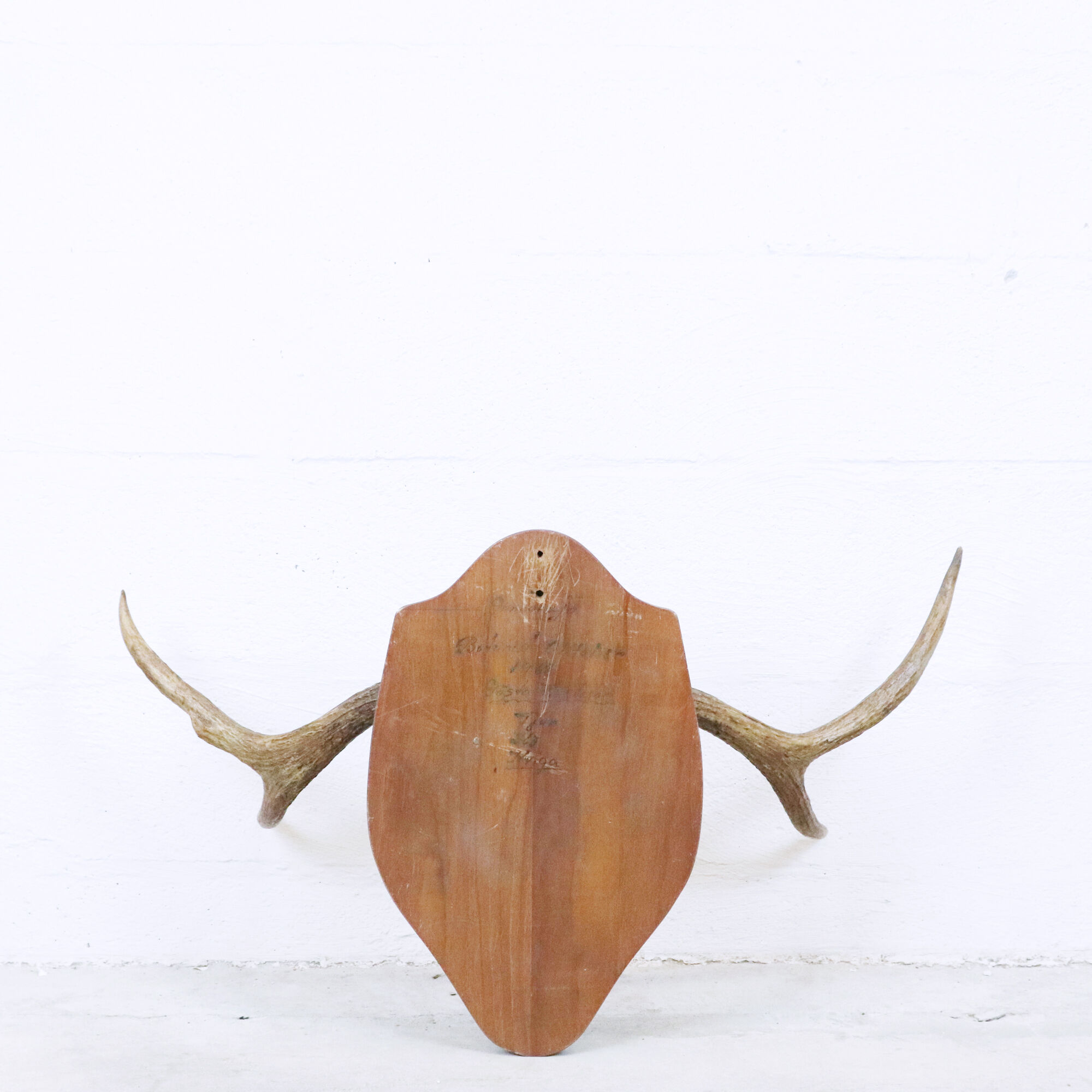 Momentum trophy 1968