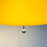 Cabras pendant lamp in Space Age style from the mid-century by Luigi Massoni for Guzzini, 1960s.