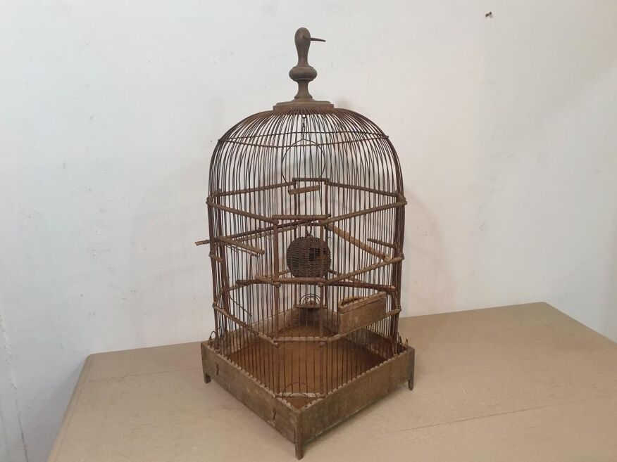 Cage à oiseaux Geo  Une magnifique cage en dôme pour vos oiseaux