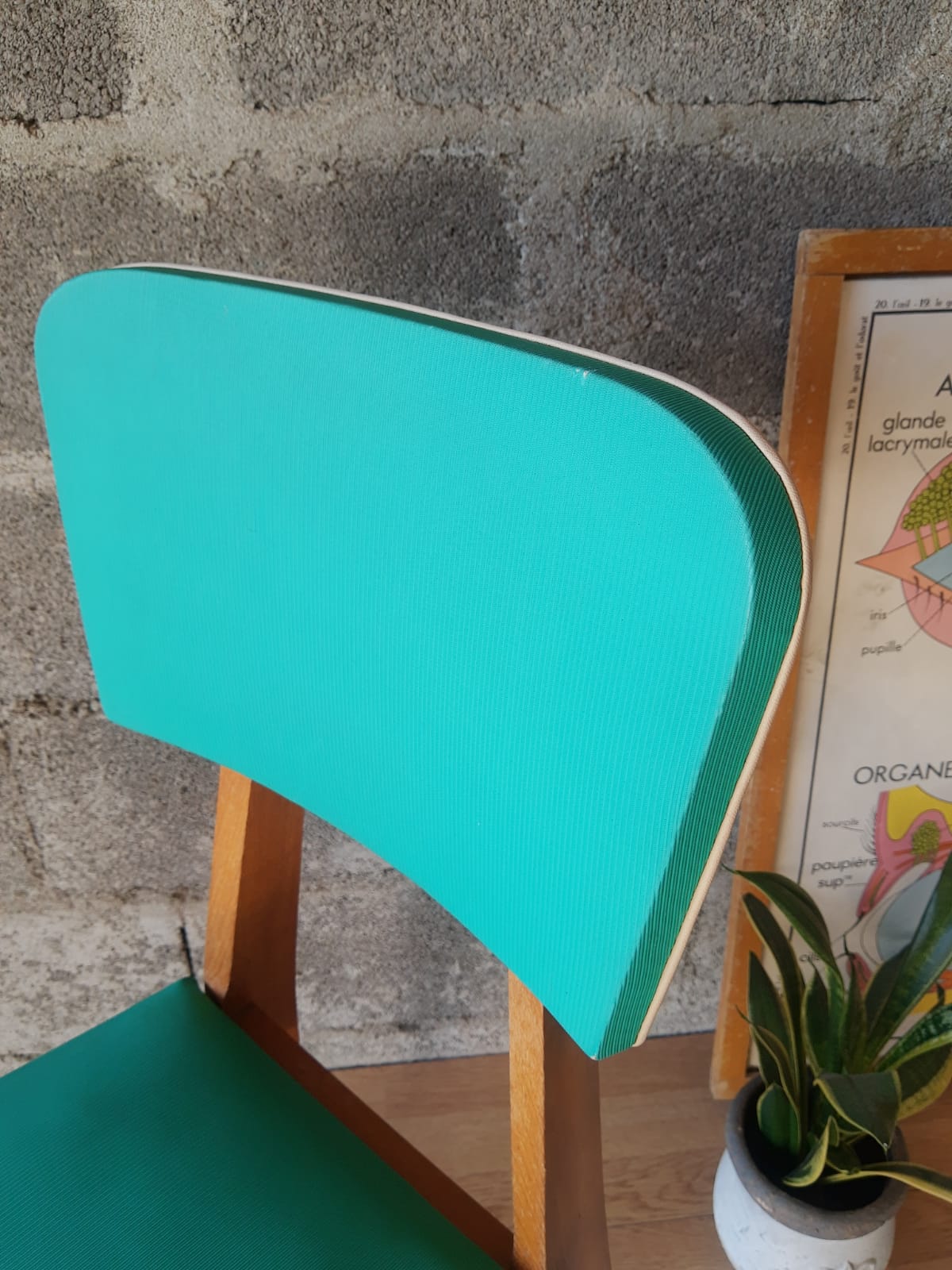 Beech chair compass feet 50s- 60s vinyl - vintage