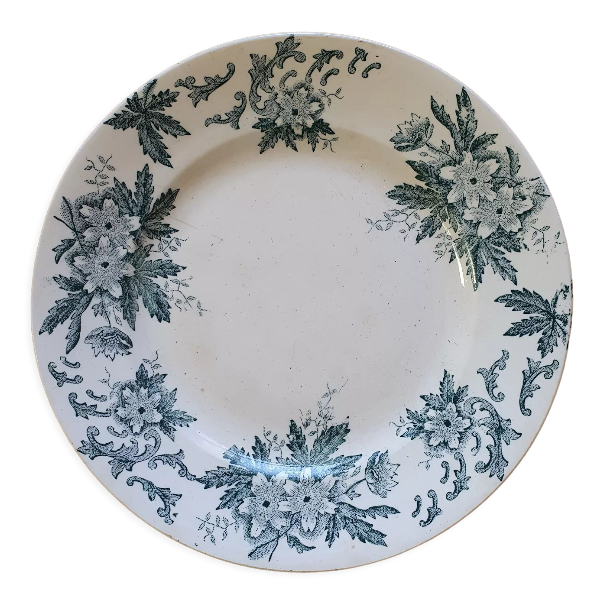 Anemone Iron Earth Plate