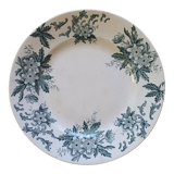 Anemone Iron Earth Plate