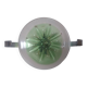 Murano Modernist Wall Light