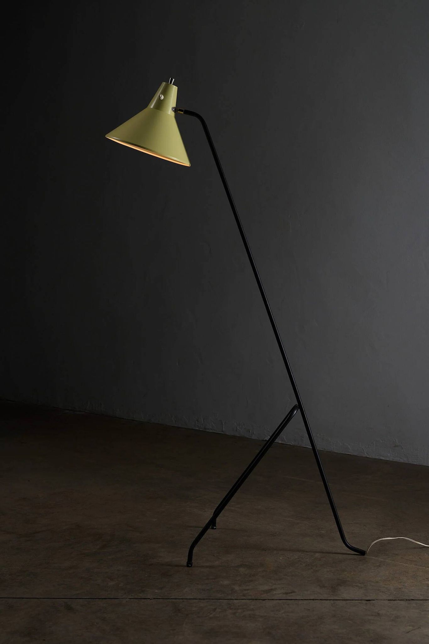 Grasshopper tripod floor lamp by Willem van Doorn