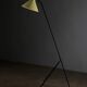 Grasshopper tripod floor lamp by Willem van Doorn