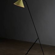 Grasshopper tripod floor lamp by Willem van Doorn