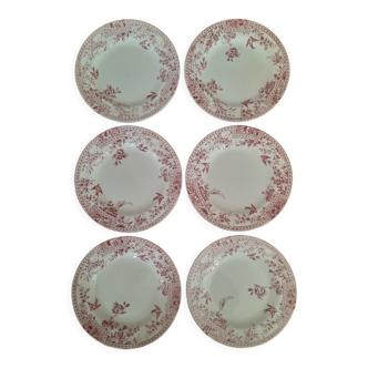 Luneville plates