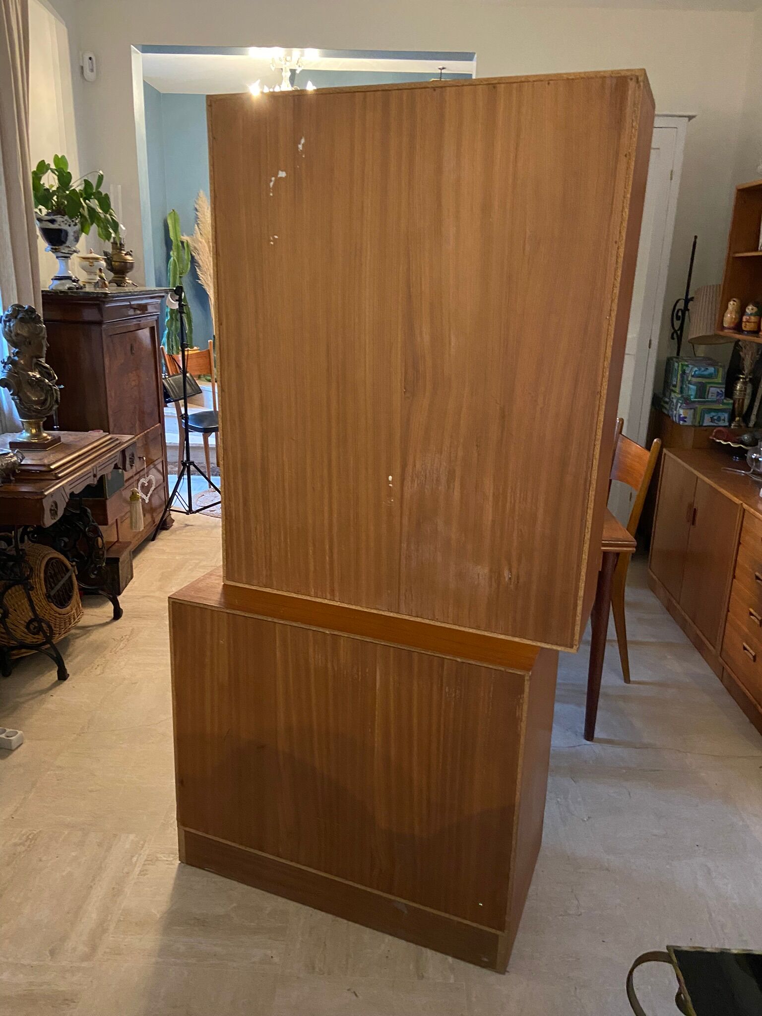 Library vintage teak showcase 1960