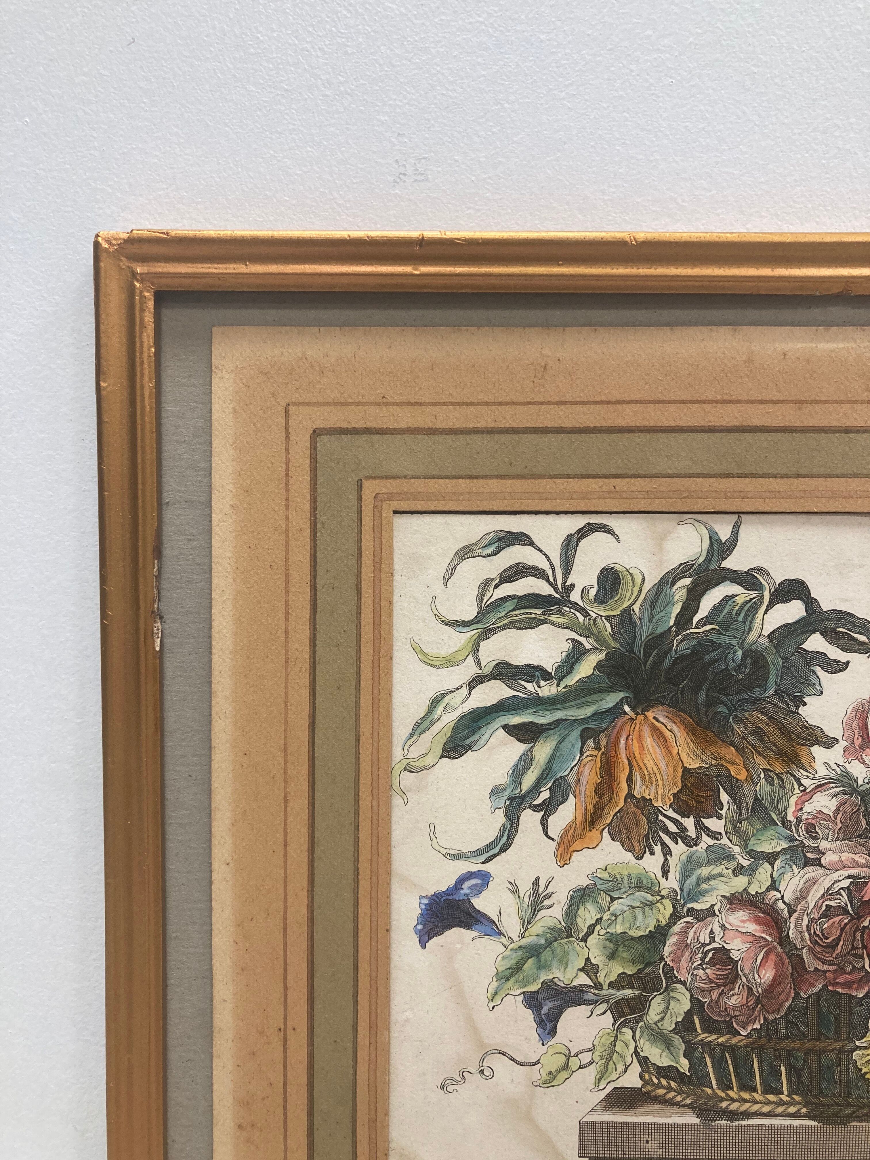 Pair of framed botanical boards