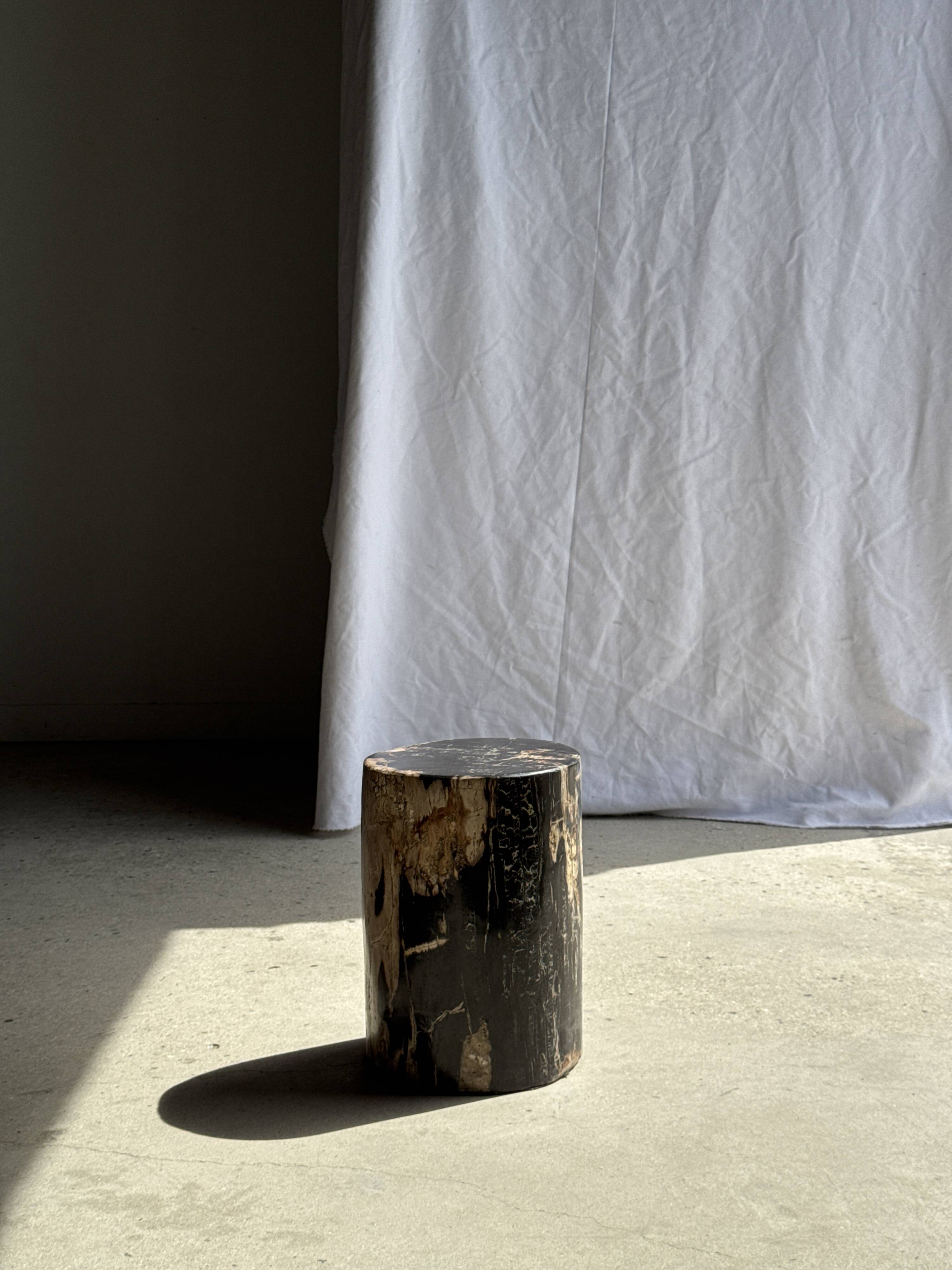 Black petrified wood side table with beige side H35 D24 - 3352