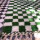 Cactus Green Rug 170x120cm