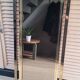 Large vintage design mirror in gold metal