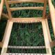 Fauteuils scandinaves bois blond vintage Années 60
