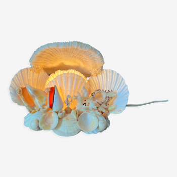 Lampe veilleuse coquillages coquilles saint Jacques
