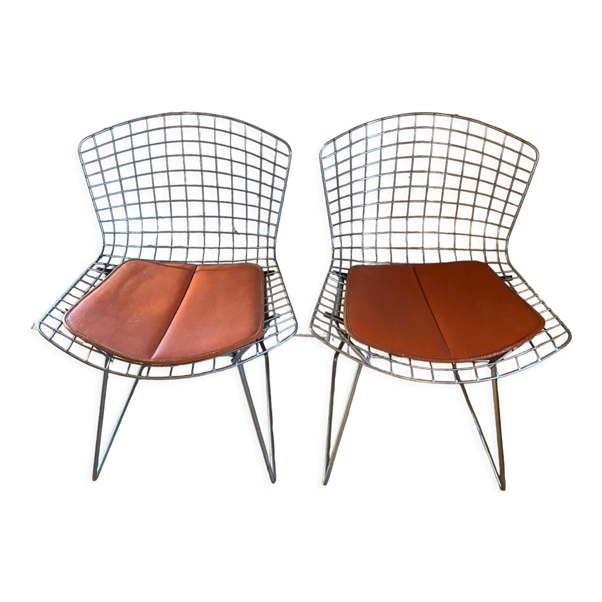 Chairs by Harry Bertoia 1960