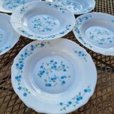 6 vintage hollow plate arcopal model veronica decor myosotis