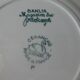 Set of 6 dessert plates, Saint Amand dahlia model, Spring stores
