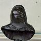 Two bronze busts in the style of the antique, 18th century.