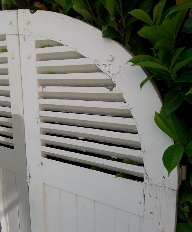 Curved shutters oak and fir H156xL245