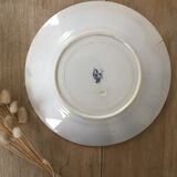 Lot 5 mismatched iron earth flat plates