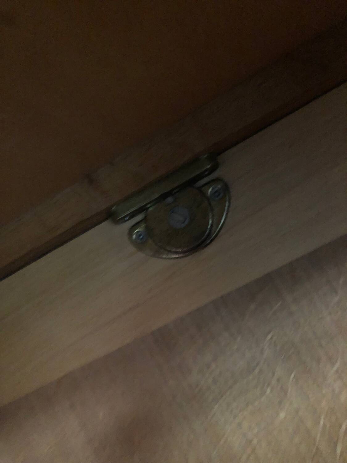 Old wardrobe 2 doors shelves and wardrobe riskoff production