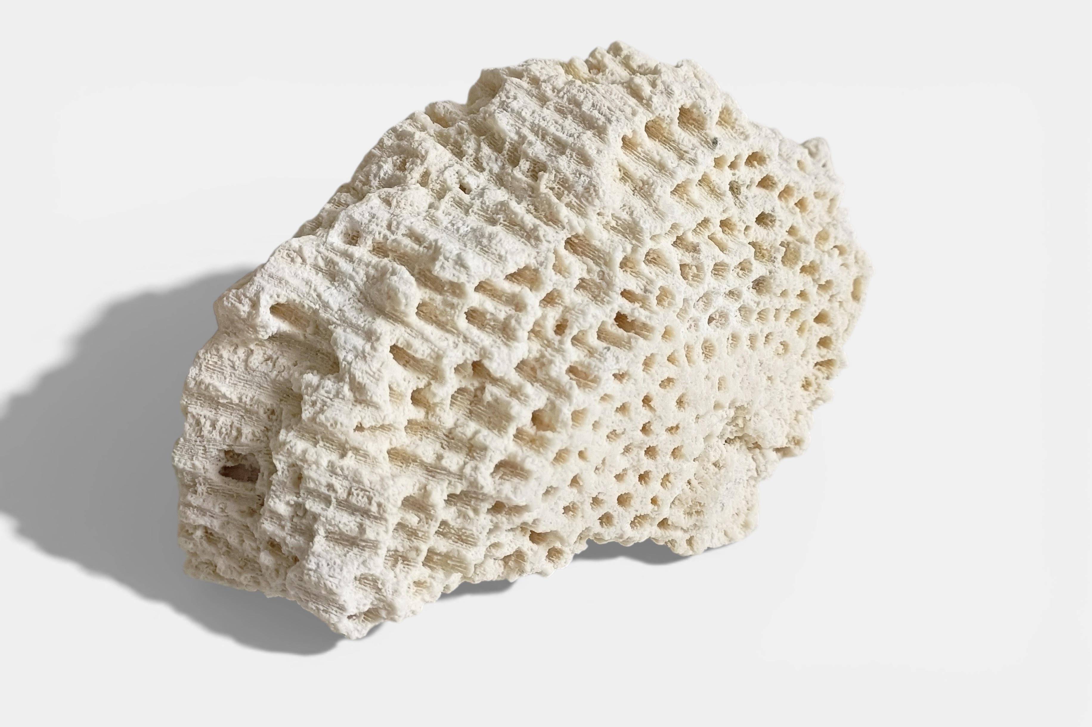 Sculptural White Coral Fossil, Organic Modern Decor from South Asia