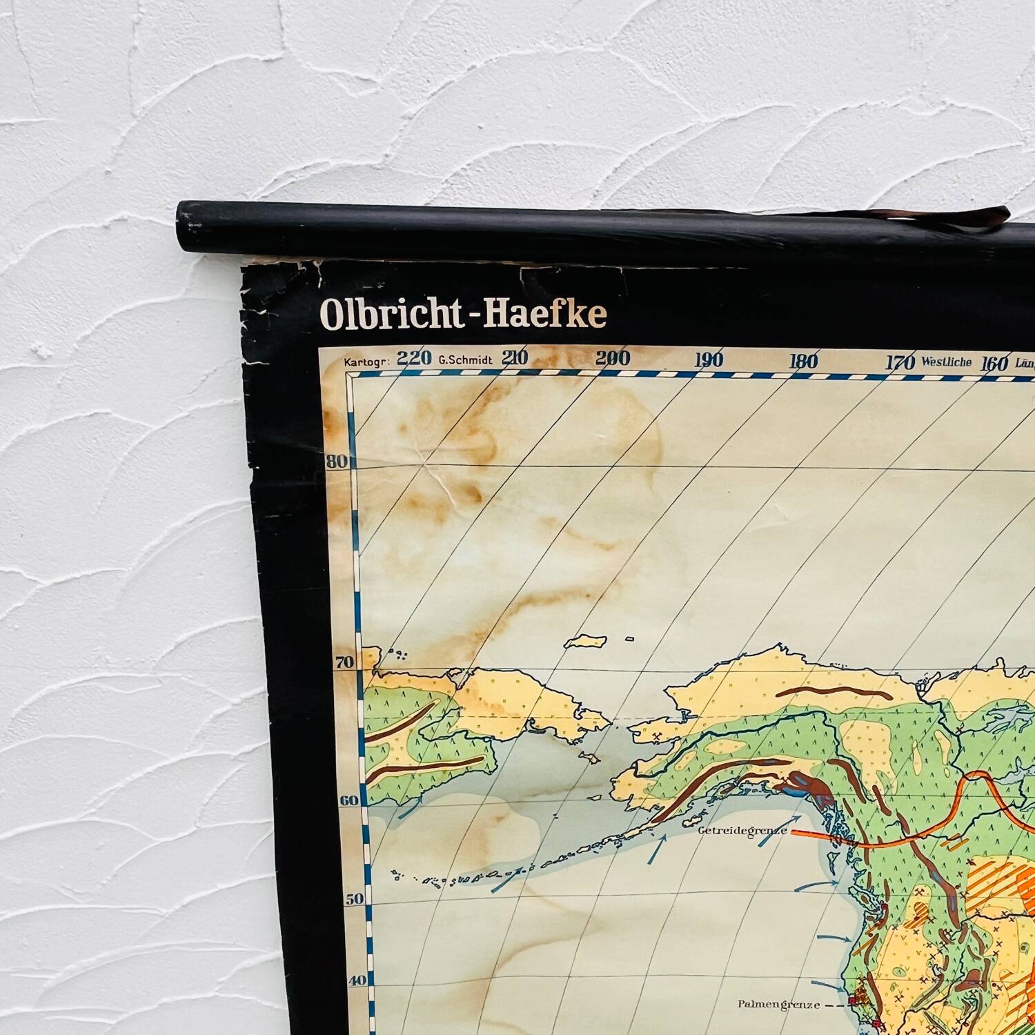 Educational map “the types of landscapes of the earth”