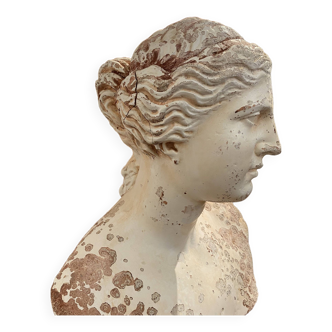 Large plaster bust of a woman