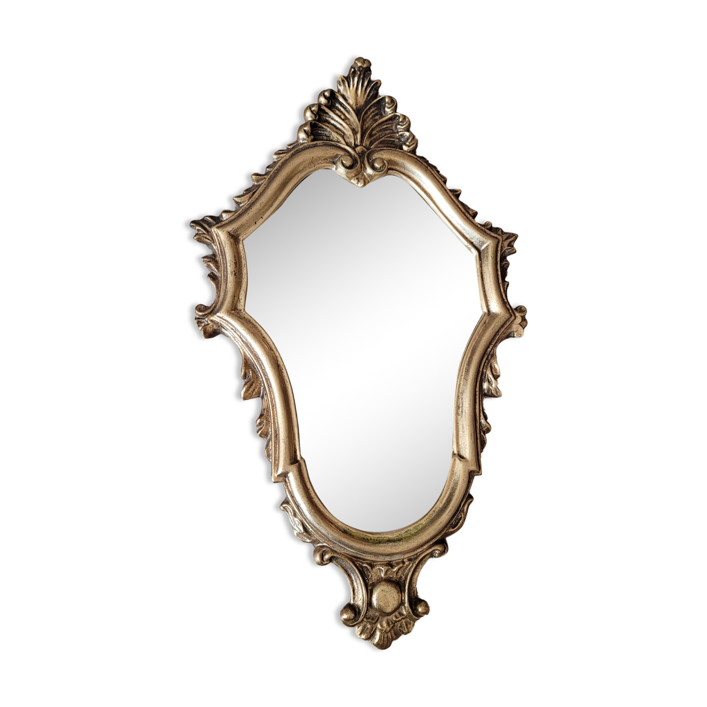 Golden lily mirror 46x27