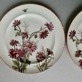 Set de 2 assiettes décor fleurs et abeilles, fin XIXème