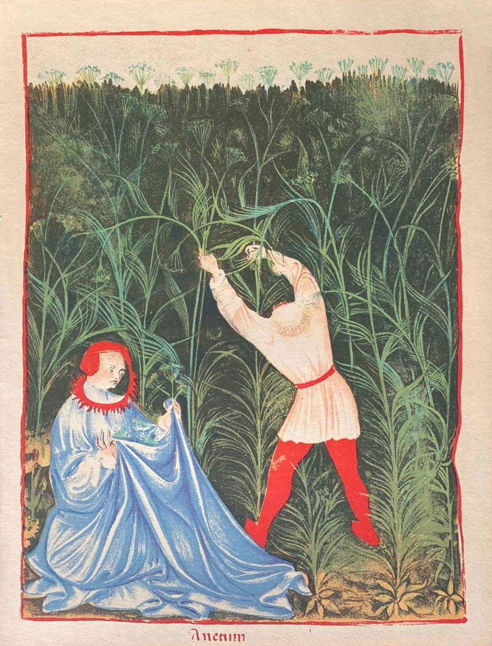 Vintage Lithography, The Harvest