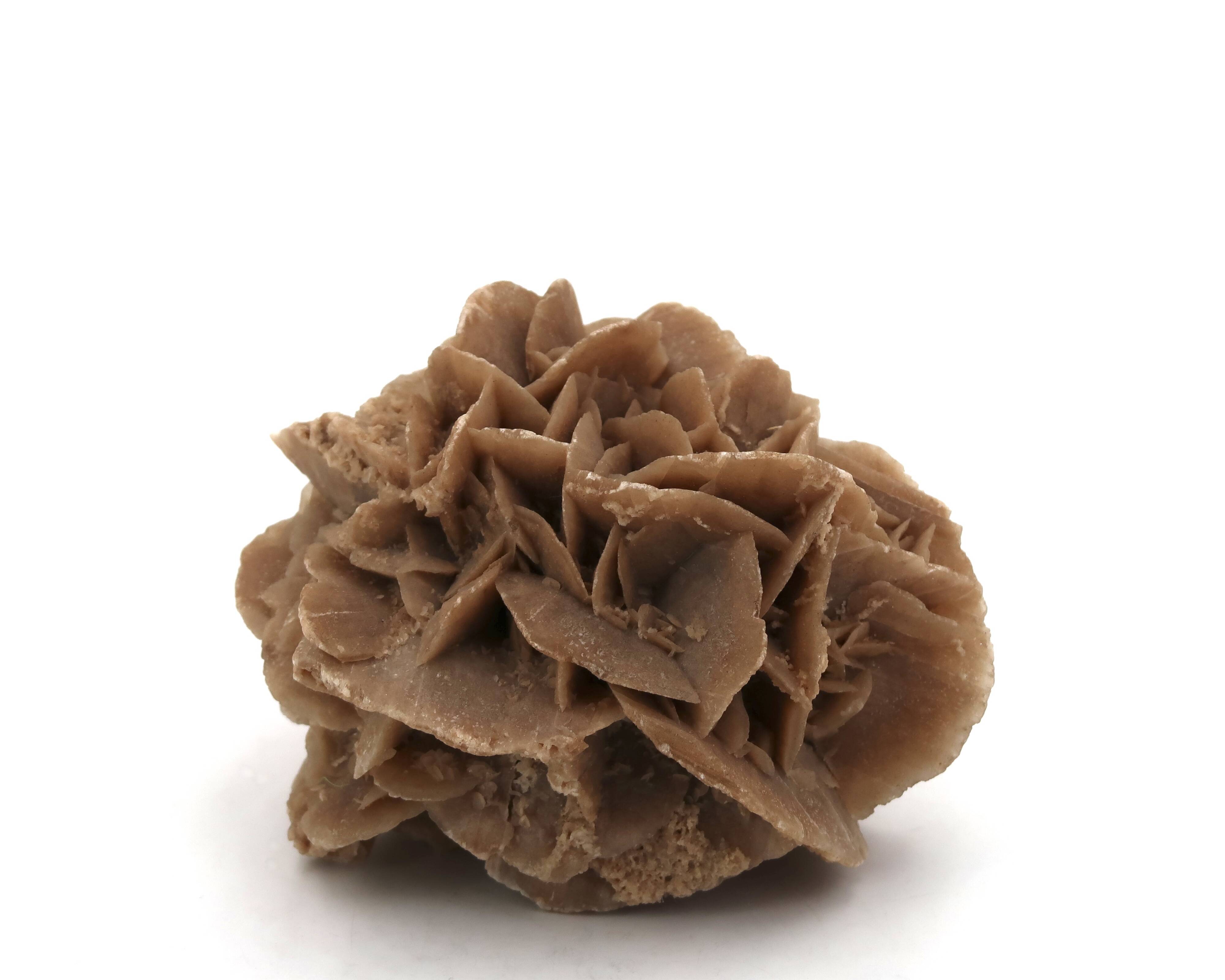 Natural brown sand rose, 1970s