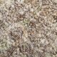 178x295Cm Persian Area Rug, Turkish Antique Rug, Faded Brown Vintage Rug