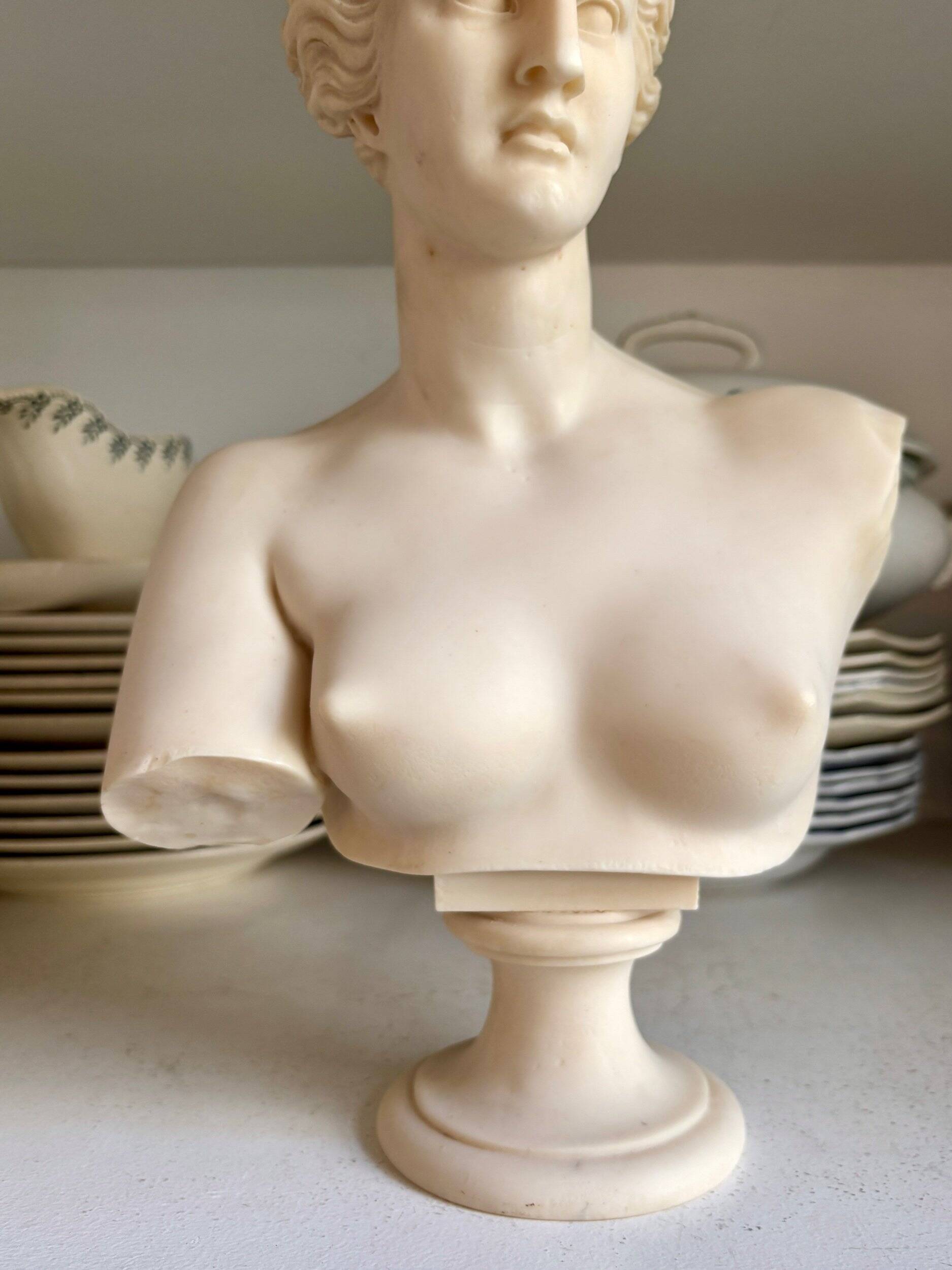 Bust of Venus on pedestal