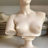 Bust of Venus on pedestal