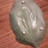 Cabbage leaf slip