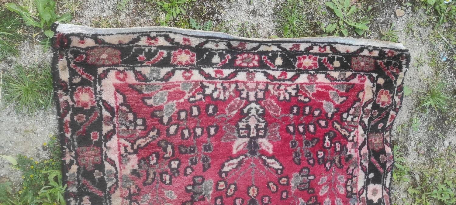 Wool carpet 4 m