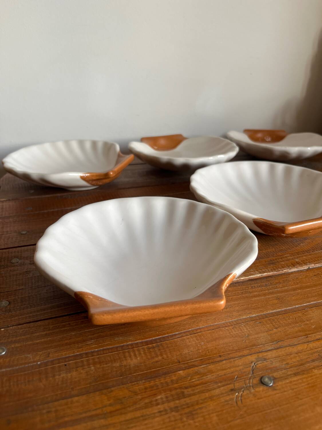 6 shell-shaped bowls