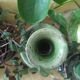 Tamgroute ceramic candlesticks