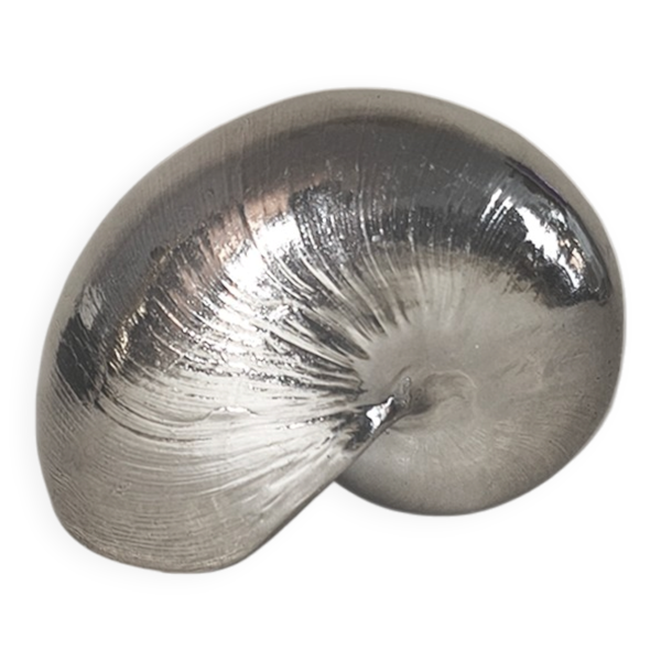 Sculpture Coquillage Nautilus — Beyit
