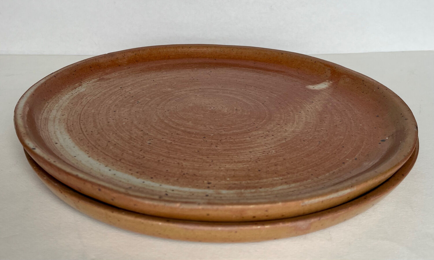 2 stoneware dinner plates