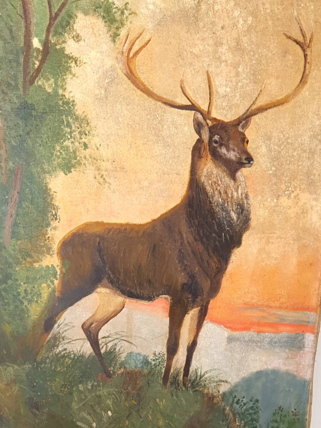 Old animal paintings