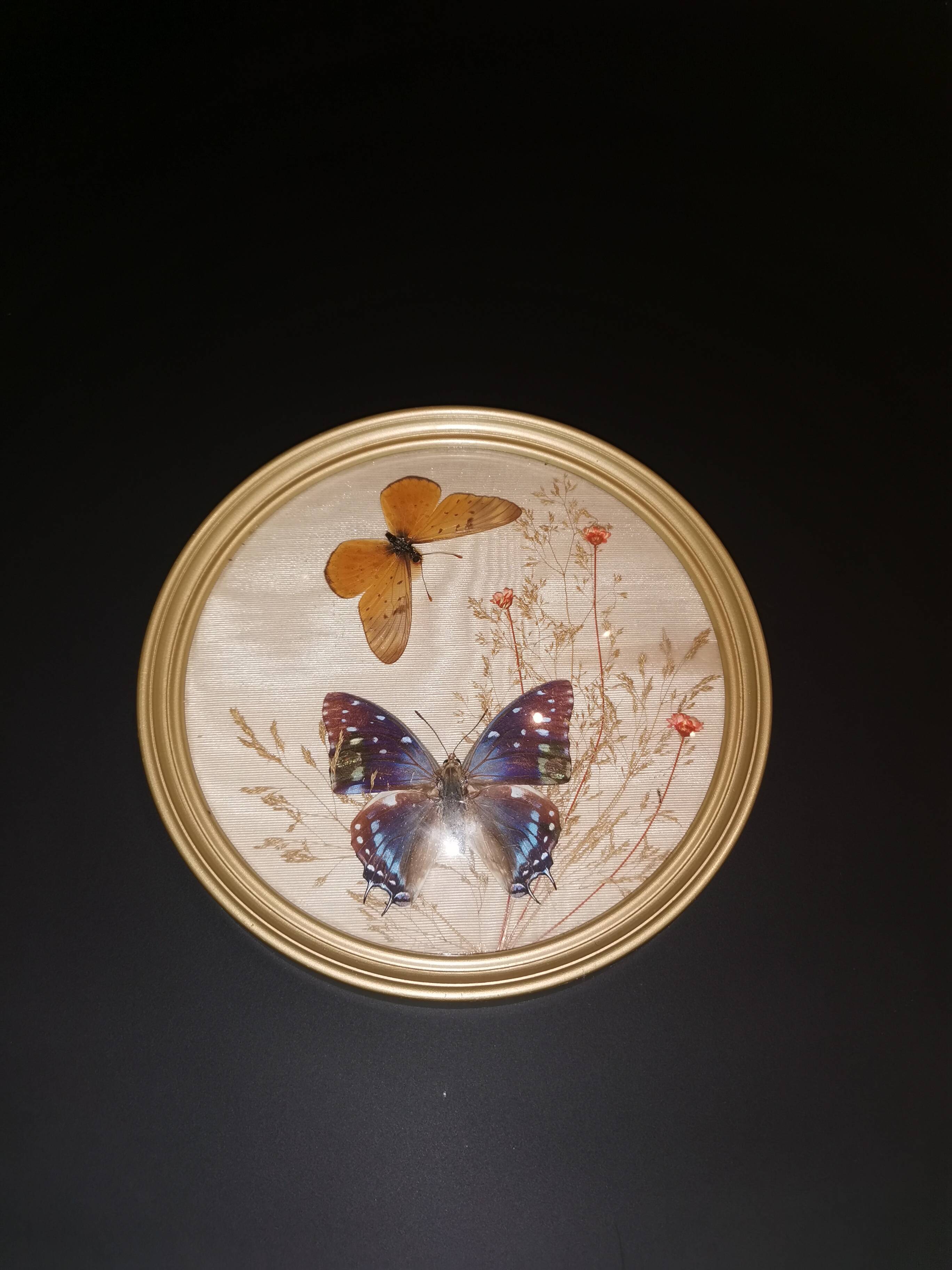 Naturalized butterfly