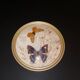 Naturalized butterfly