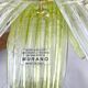 Mid-Century Murano Glass Palmette Chandelier in Green and Clear Glass, Ital